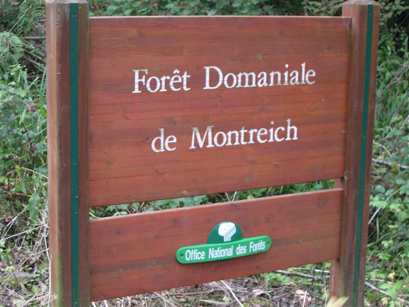 www.etablissement-ortet.com - Foret de Montreich